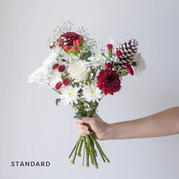 The Magical Standard Free Same-Day Delivery