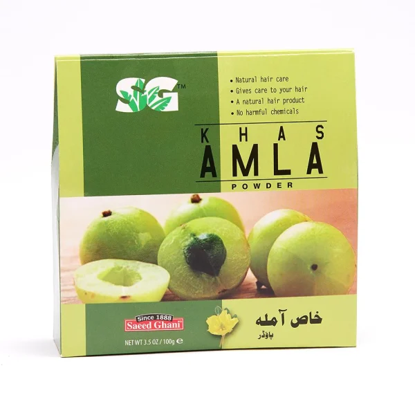 sg-khas-amla-powder-100g-8964000259016