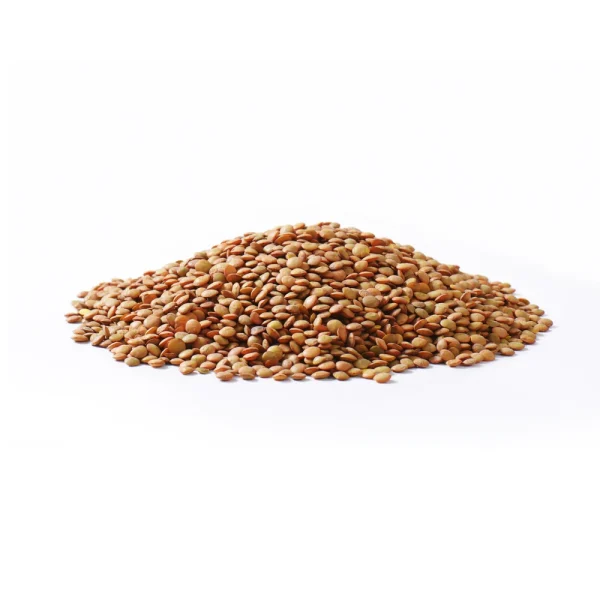 trupti-brown-lentils-4lb-874935110109