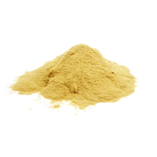 trupti-ganthoda-ground-50g-874935409814