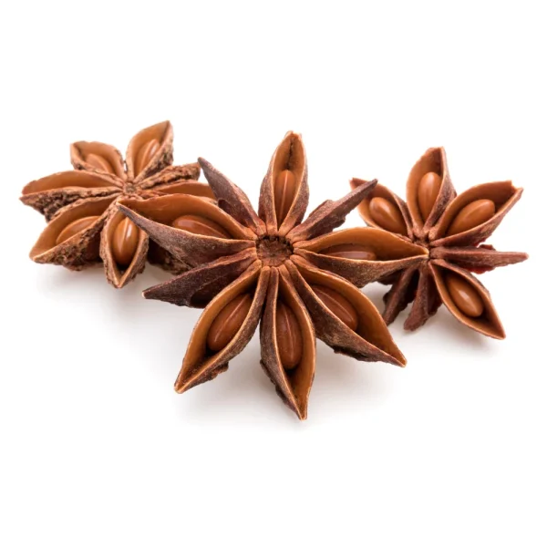 trupti-star-anis-whole-100g-874935571030