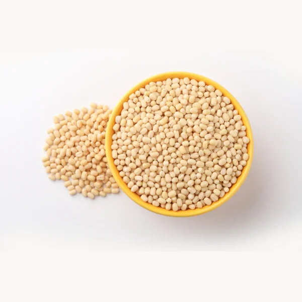 trupti-urad-gota-2lb-874935115128